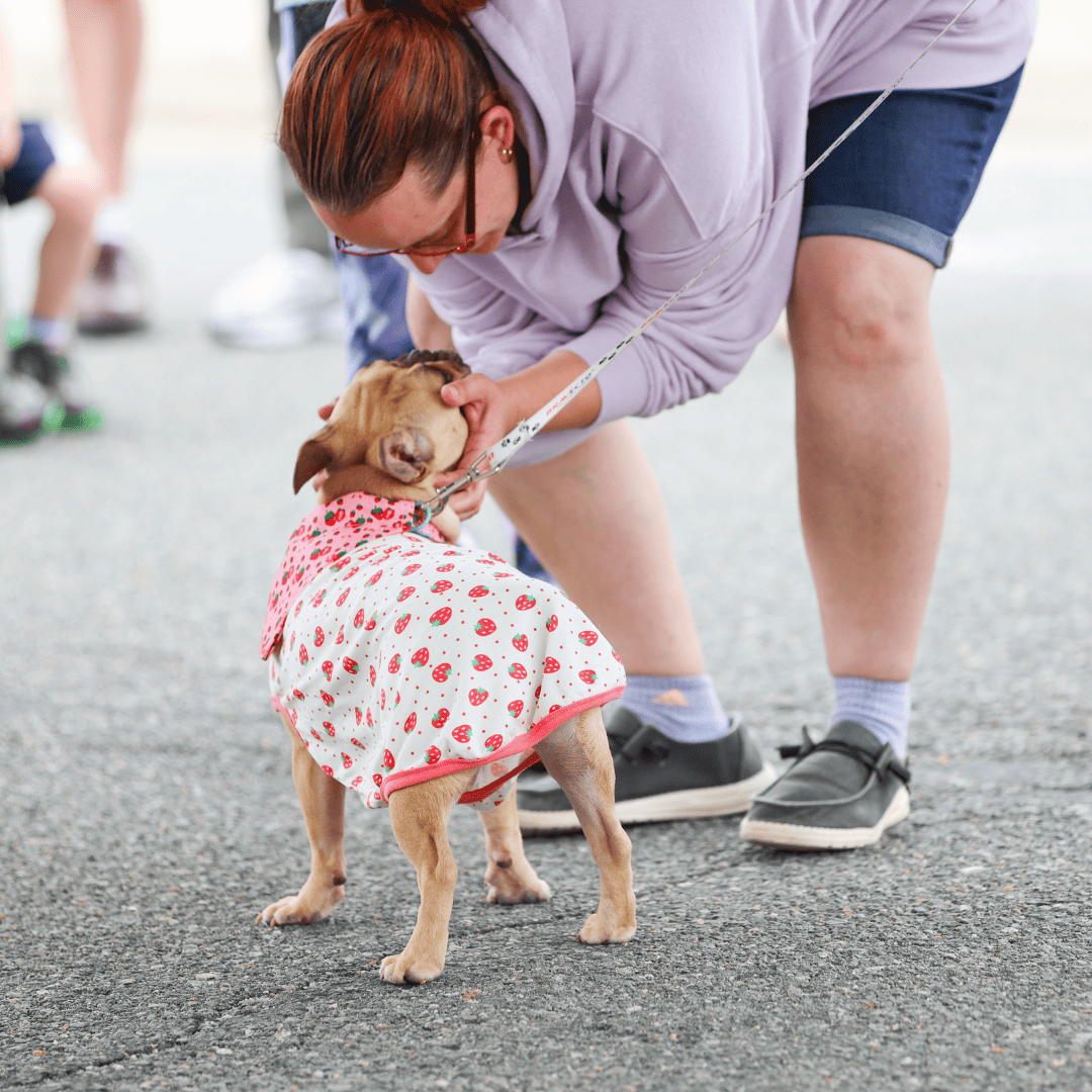 woman petting a dog wearing a strawberry costume